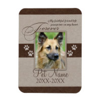Sympathie pour animal de compagnie