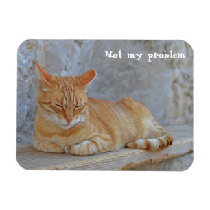 Magnet Flexible Tabby chat reposant à Dubrovnik Pas mon problème !