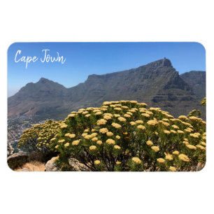 Magnet Flexible table de cape town