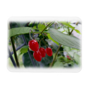 Magnet Flexible Taches rouges d'automne
