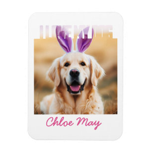 Magnet Flexible Télécharger Personnalisé Pet Photo Nom I Love My D