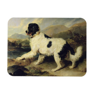 Magnet Flexible Terre-Neuve-et-Labrador, 1824 (huile sur toile)