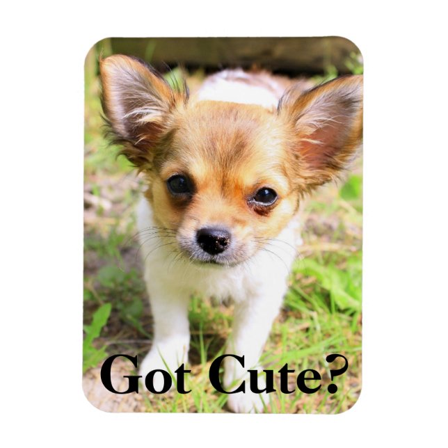 Magnet Flexible T'es mignonne ? Chiot (Vertical)