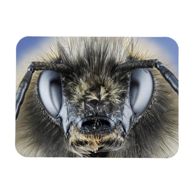 Magnet Flexible Tête de bourdon (Horizontal)