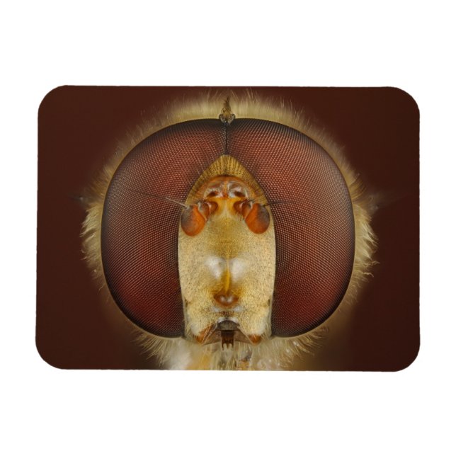 Magnet Flexible Tête et yeux composés d'une mouche (Horizontal)