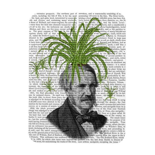 Magnet Flexible Tête Plante Spider (Vertical)