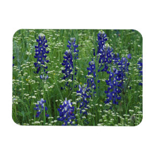 Magnet Flexible Texas, Lac Buchanan. Texas Bluebonnet et Wild