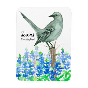 Magnet Flexible Texas Souvenir Bluebonnets Fleurs Mockingbird