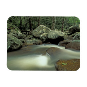Magnet Flexible Thaïlande, île de Kohsamui, paysage de forêt tropi