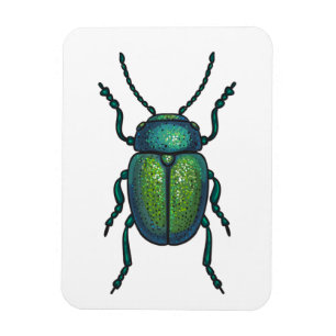 Magnet Flexible The tansy beetle