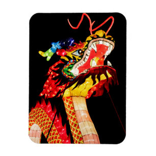 Magnet Flexible Tianlong Dragon
