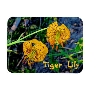 Magnet Flexible Tiger Lily