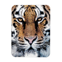 Tiger rayures Portrait dans Graphic Press Style