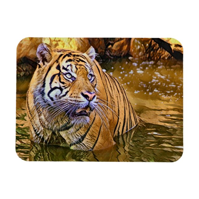 Magnet Flexible Tigre de Sumatra en peinture sur eau (Horizontal)