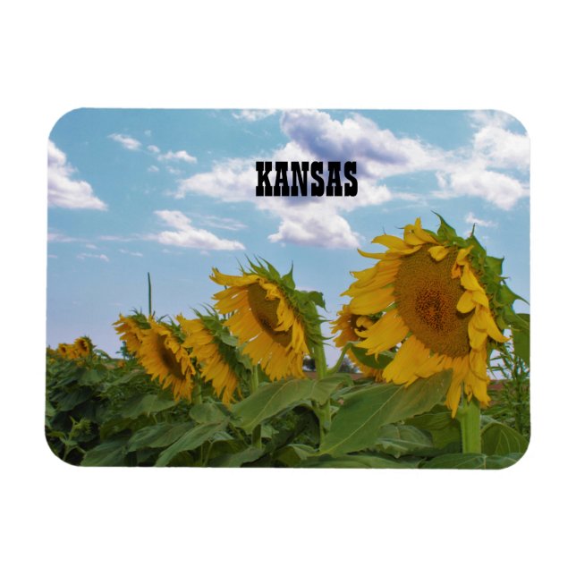 Magnet Flexible Tournesols du Kansas (Horizontal)