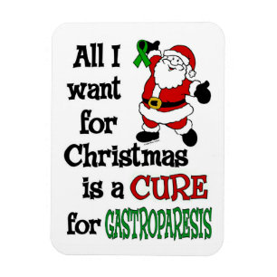 Magnet Flexible Tout Ce Que Je Veux Pour Noël...Gastroparesis