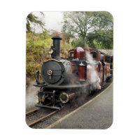 TRAIN À VAPEUR
