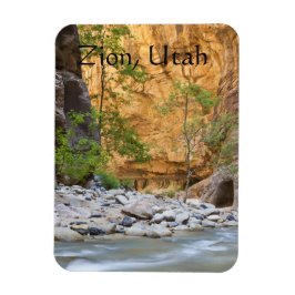 Magnet Flexible Trait narine