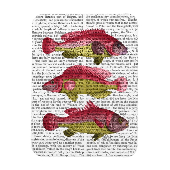 Magnet Flexible Trio poisson Imaginaire rouge et jaune (Vertical)