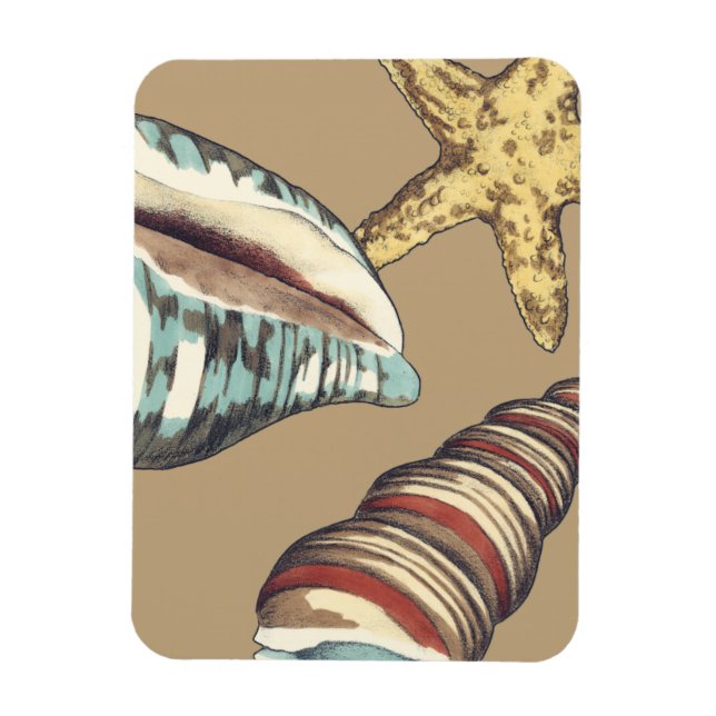 Magnet Flexible Trio Shell sur Khaki (Vertical)