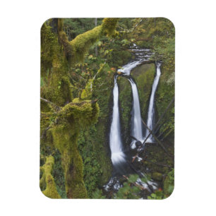 Magnet Flexible Triple Falls, gorge du Columbia