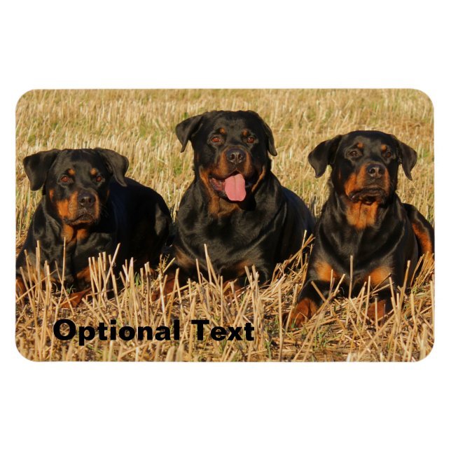 Magnet Flexible Trois chiens Rottweiler - Pack de Rotties (Horizontal)