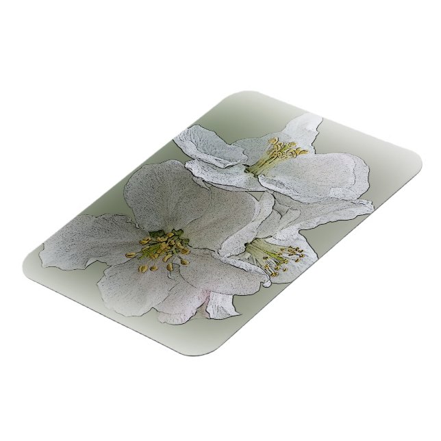Magnet Flexible trois fleurs blanches (Côté Gauche)