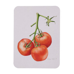 Magnet Flexible Trois tomates sur la vigne 1997
