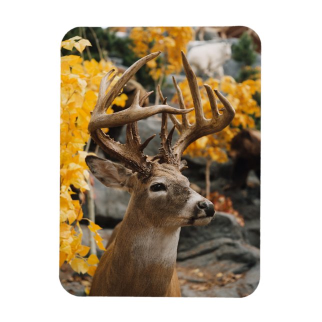 Magnet Flexible Trophée Deer (Vertical)