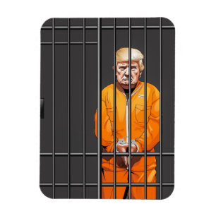 Magnet Flexible Trump en prison Aimant photo flexible
