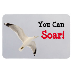 Magnet Flexible Tu Peux Tourner !