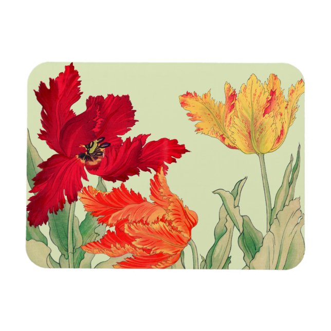 Magnet Flexible Tulide perroquet, Floral (Horizontal)