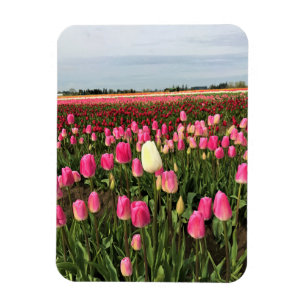 Magnet Flexible Tulip Farm