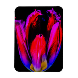 Magnet Flexible Tulipe de Neon Glow