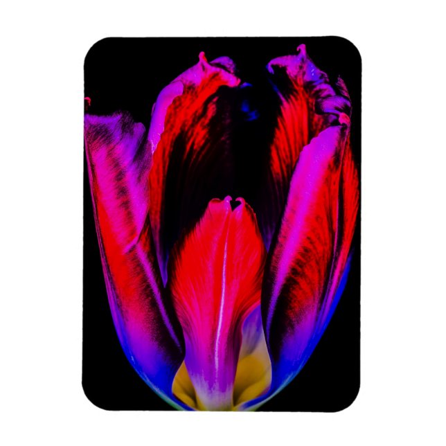 Magnet Flexible Tulipe de Neon Glow (Vertical)