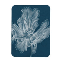 Tulipe monochrome II