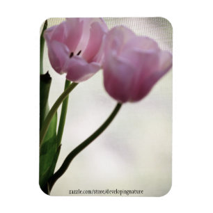 Magnet Flexible Tulipes 3265