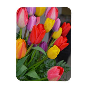 Magnet Flexible Tulipes à ressort colorées