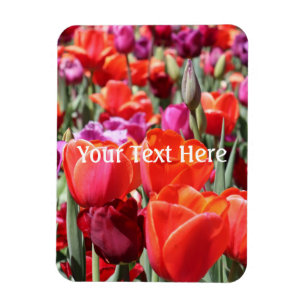 Magnet Flexible Tulipes chaudes tombées