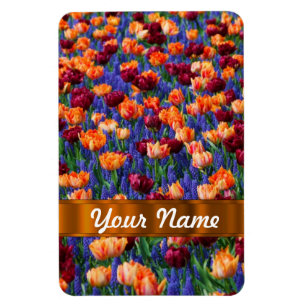 Magnet Flexible Tulipes colorées
