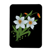Tulipes et jonquilles Fleurs Fond noir