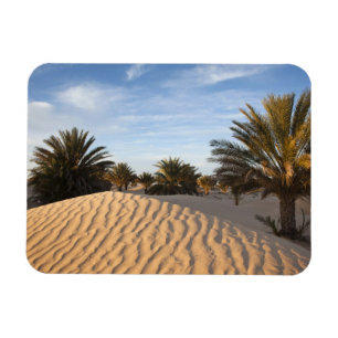 Magnet Flexible Tunisie, désert du Sahara, Douz, Grande Dune, palm