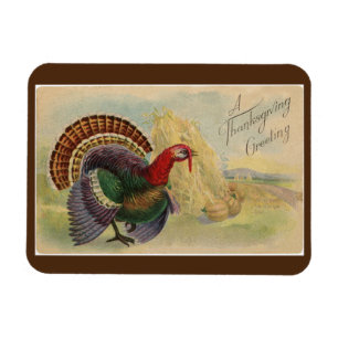 Magnet Flexible Turquie Vintage