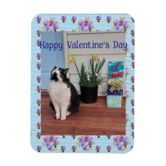Magnet Flexible Tuxedo Cat Funny Cute Cats Valentines Day Blue