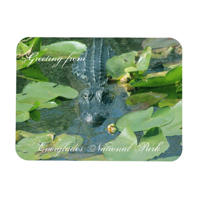 Magnet Flexible Un accueil chaleureux des Everglands Nat'l Park (Horizontal)