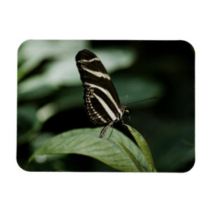 Magnet Flexible Un aimant Premium pour repas équilibré