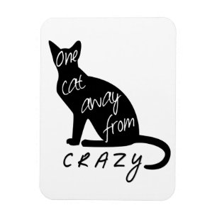 Magnet Flexible Un chat loin de CRAZY
