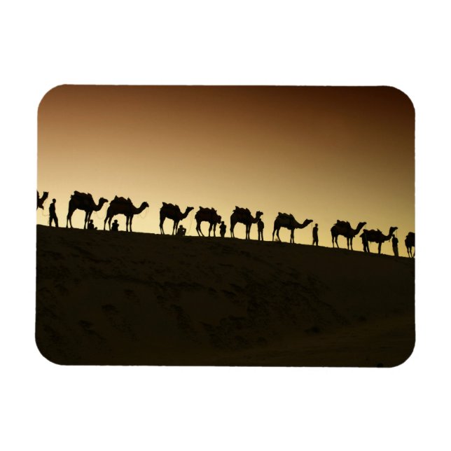 Magnet Flexible Un groupe de chameliers avec leurs chameaux (Horizontal)