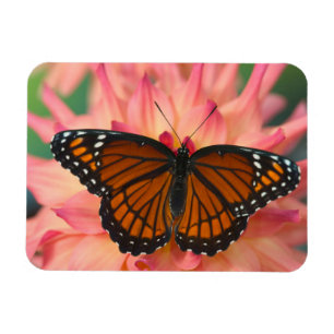 Magnet Flexible Un imitateur du papillon de monarque