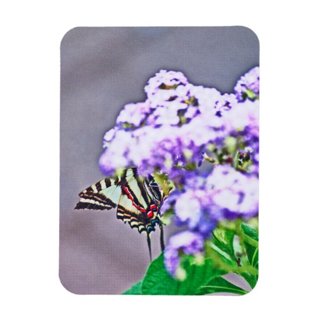 Magnet Flexible Un jeu de cache et de recherche (Vertical)